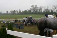 /international/USA/2009KentuckyHorsePark/gallery/10/thumbnails/0910KYC_0789.jpg