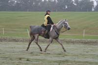 /international/USA/2009KentuckyHorsePark/gallery/11/thumbnails/0910KYC_0840.jpg