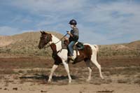 /international/USA/2009OwyheeCanyonlands/gallery/01/thumbnails/0909OC_031.jpg