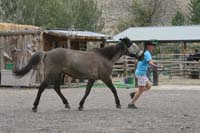 /international/USA/2009OwyheeCanyonlands/gallery/01/thumbnails/0909OC_065.jpg