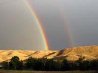 /international/USA/2009OwyheeHallowedWeenies/gallery/costumes/thumbnails/Rainbow1.jpg