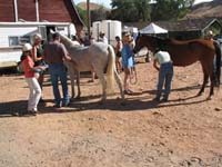 /international/USA/2010BigHorn/gallery/RideGallery/thumbnails/IMG_5530.jpg
