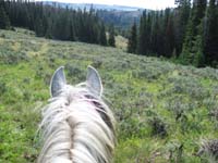 /international/USA/2010BigHorn/gallery/TrailGallery/thumbnails/IMG_0075.jpg