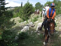 /international/USA/2010BigHorn/gallery/TrailGallery/thumbnails/IMG_0076.jpg