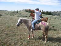 /international/USA/2010BigHorn/gallery/TrailGallery/thumbnails/IMG_0087.jpg