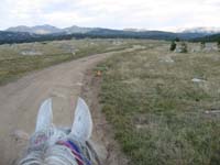 /international/USA/2010BigHorn/gallery/TrailGallery/thumbnails/IMG_0150.jpg