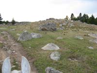 /international/USA/2010BigHorn/gallery/TrailGallery/thumbnails/IMG_0158.jpg