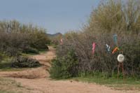 /international/USA/2010DynamiteDash/gallery/01preride/thumbnails/IMG_2545.jpg