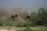 /international/USA/2010DynamiteDash/gallery/ride_john/thumbnails/IMG_2664.jpg