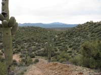 /international/USA/2010DynamiteDash/gallery/ride_steph/thumbnails/IMG_2675.jpg