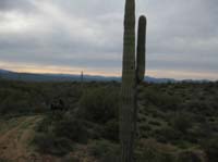 /international/USA/2010DynamiteDash/gallery/ride_steph/thumbnails/IMG_2685.jpg