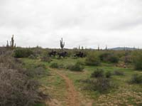 /international/USA/2010DynamiteDash/gallery/ride_steph/thumbnails/IMG_2740.jpg