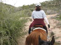 /international/USA/2010DynamiteDash/gallery/ride_steph/thumbnails/IMG_2760.jpg