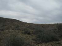 /international/USA/2010DynamiteDash/gallery/ride_steph/thumbnails/IMG_2764.jpg
