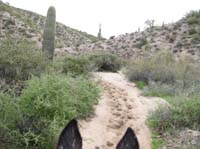 /international/USA/2010DynamiteDash/gallery/ride_steph/thumbnails/IMG_2781.jpg