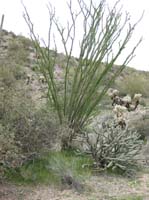 /international/USA/2010DynamiteDash/gallery/ride_steph/thumbnails/IMG_2783.jpg