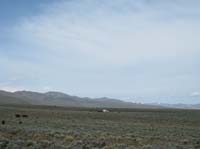 /international/USA/2010Fandango/gallery/brownscreek/thumbnails/IMG_3411.jpg