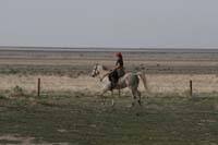 /international/USA/2010HighDesert/gallery/01/thumbnails/1004HDC_026.jpg