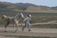 /international/USA/2010HighDesert/gallery/01/thumbnails/1004HDC_033.jpg