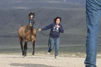 /international/USA/2010HighDesert/gallery/01/thumbnails/1004HDC_040.jpg