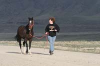 /international/USA/2010HighDesert/gallery/01/thumbnails/1004HDC_044.jpg