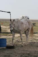 /international/USA/2010HighDesert/gallery/01/thumbnails/1004HDC_045.jpg