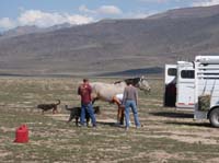 /international/USA/2010HighDesert/gallery/01/thumbnails/1004HDC_049.jpg