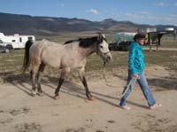 /international/USA/2010HighDesert/gallery/01/thumbnails/1004HDC_053.jpg