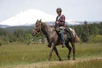 /international/USA/2010MtAdams/gallery/04/thumbnails/1005MtA_347.jpg