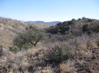 /international/USA/2010OldPueblo/gallery/Day1/thumbnails/IMG_2880.jpg
