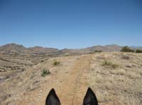 /international/USA/2010OldPueblo/gallery/Day1/thumbnails/IMG_2898.jpg