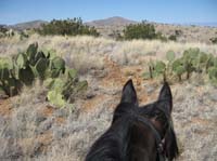 /international/USA/2010OldPueblo/gallery/Day1/thumbnails/IMG_2920.jpg