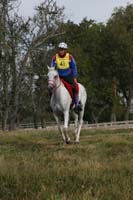 /international/USA/2010WEC/gallery/10/thumbnails/1009WEC_0935.jpg