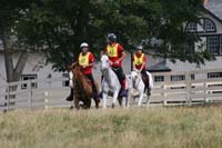 /international/USA/2010WEC/gallery/10/thumbnails/1009WEC_0940.jpg