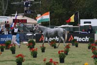 /international/USA/2010WEC/gallery/12/thumbnails/1009WEC_1173.jpg