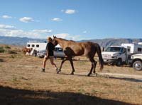 /international/USA/2011BigHorn/gallery/02/thumbnails/1107BH_086.jpg
