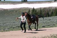/international/USA/2011BigHorn/gallery/03/thumbnails/1107BH_148.jpg