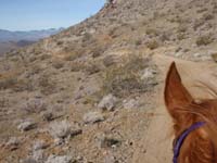 /international/USA/2011FireMountain/gallery/01/thumbnails/P1150469.jpg