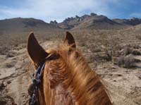 /international/USA/2011FireMountain/gallery/01/thumbnails/P1160481.jpg