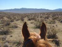 /international/USA/2011FireMountain/gallery/01/thumbnails/P1170505.jpg