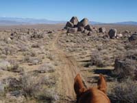 /international/USA/2011FireMountain/gallery/01/thumbnails/P1170513.jpg