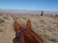 /international/USA/2011FireMountain/gallery/01/thumbnails/P1170517.jpg