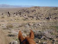 /international/USA/2011FireMountain/gallery/01/thumbnails/P1170522.jpg