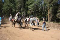 /international/USA/2011NAETC/gallery/11S/thumbnails/1109NAETC_509.jpg