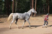 /international/USA/2011NAETC/gallery/11S/thumbnails/1109NAETC_529.jpg