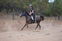 /international/USA/2011NAETC/gallery/13S/thumbnails/1109NAETC_594.jpg