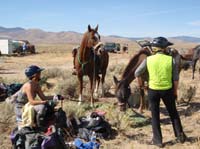/international/USA/2011OwyheeCanyonlands/gallery/04/thumbnails/1109OwyC_272.jpg