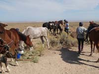 /international/USA/2011OwyheeCanyonlands/gallery/04/thumbnails/1109OwyC_276.jpg