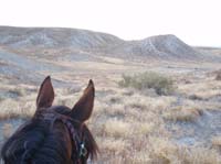 /international/USA/2011OwyheeCanyonlands/gallery/05/thumbnails/1109OwyC_324.jpg