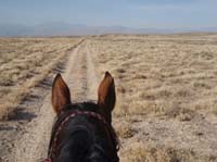 /international/USA/2011OwyheeCanyonlands/gallery/05/thumbnails/1109OwyC_326.jpg